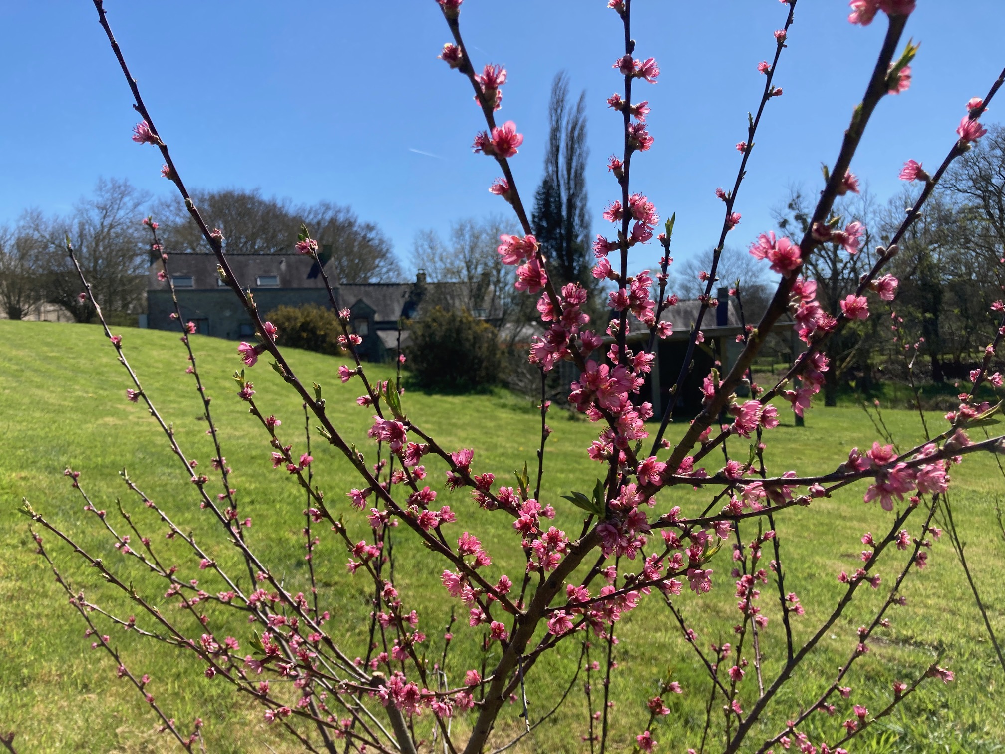 Stage du 14 au 16 mai 2026 : »Quand les lieux murmurent »