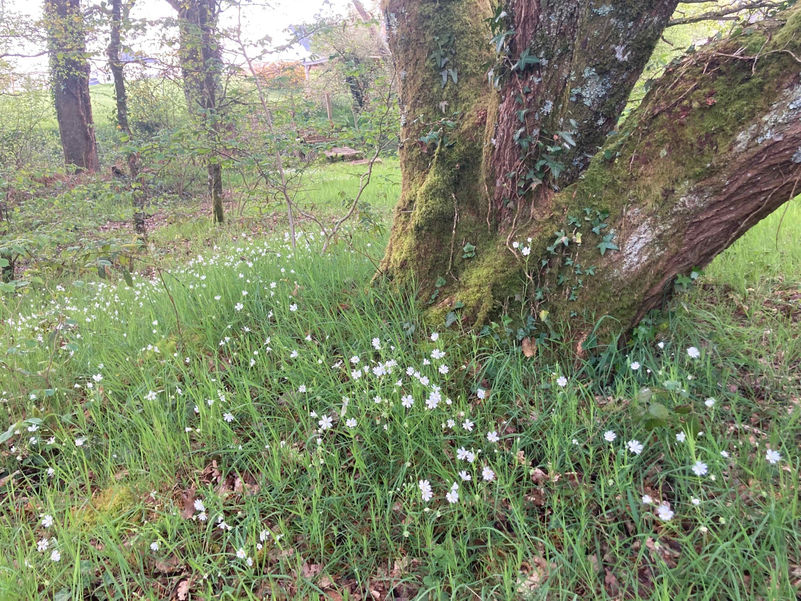 Printemps 2026 : des liens qui font du bien